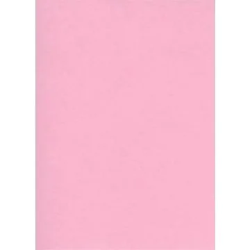 Fiches Bristol Unies A4 - 297 x 210 mm - Rose : ELVE Lot de 100 Photo