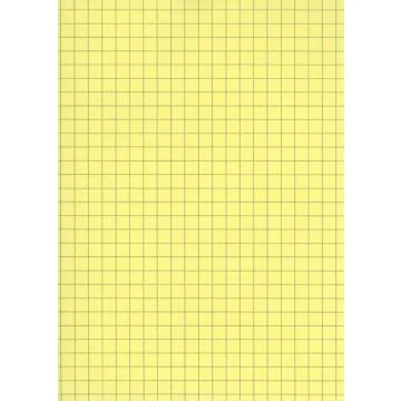 Lot de 100 Fiches Bristol A6 - 105 x 148 mm - Jaune quadrillé ELVE B10513J Fournitures jaune
