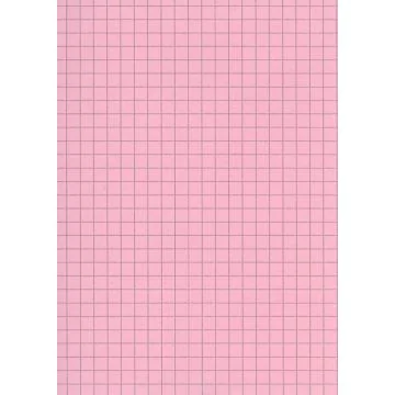Fiches bristol A6 - 105 x 148 mm - Rose quadrillé B-10513R ELVE Lot de 100 rose