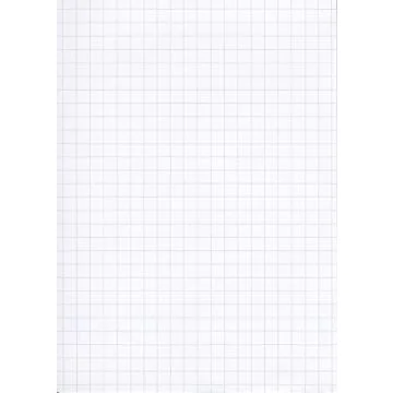Fiches Bristol - 500 x 650 mm - Blanc quadrillé ELVE B506513 Lot de 25 blanc