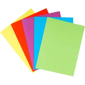 EXACOMPTA : Chemises double à poche - Assortiment de couleurs 415000E