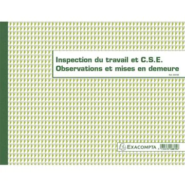 Registre CSE et Inspection du travail EXACOMPTA 6615E