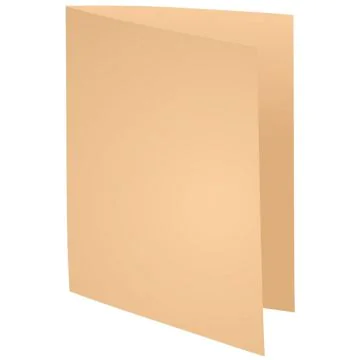 Lot de 100 Chemises - 320 x 240 mm - Bulle EXACOMPTA Forever 170 modèle