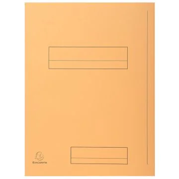 Lot de 50 Chemises rigides imprimées - Bulle EXACOMPTA Super 210 Image