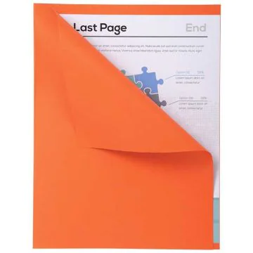 Lot de 100 Chemises A4 à bord décalé - Orange EXACOMPTA Forever 180 Visuel