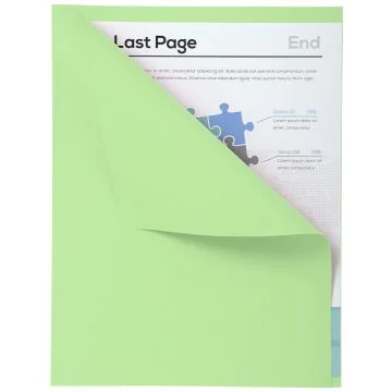 Lot de 100 Chemises A4 à bord décalé - Vert EXACOMPTA Forever 180 Visuel