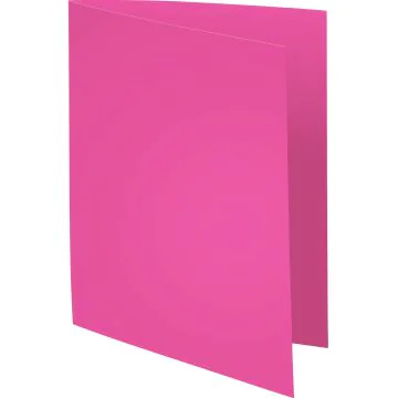 Lot de 100 Chemises pour dossiers - Fuchsia : EXACOMPTA Forever 170 Visuel