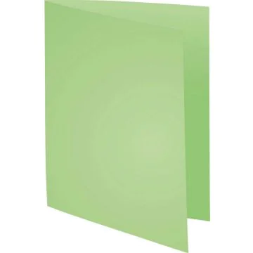 Lot de 100 Chemises pour dossiers - Vert Vif : EXACOMPTA Forever 220 Visuel