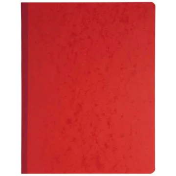 EXACOMPTA Registre des Ventes - Journal 15 colonnes - 320 x 250 mm Visuel