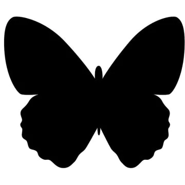 Tableau noir décoratif - Ardoise 300 x 360 mm Papillon SECURIT Silhouette Image