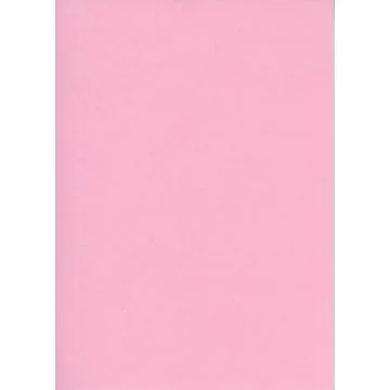 Fiches Bristol - 125 x 200 mm - Rose uni ELVE B125R modèle
