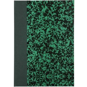 LE DAUPHIN 392501D Registre 192 pages lignées 297 x 210 mm