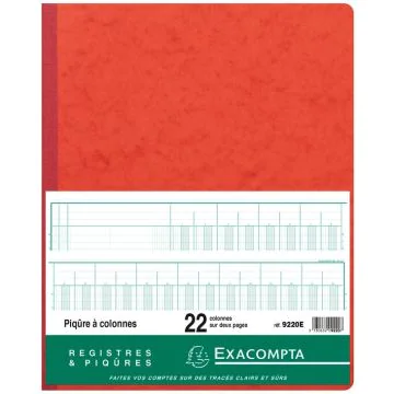 EXACOMPTA Registre 22 colonnes - 400 x 300 mm