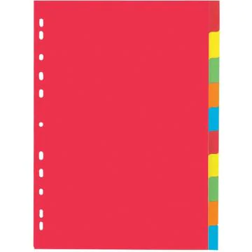 PAGNA 31101-20 : Jeu de 10 intercalaires neutres - 225 x 300 mm - Assortiment de couleurs