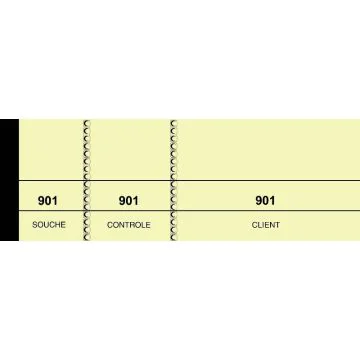 PASSE - PARTOUT Lot de 100 tickets - Jaune (Elve - Carnet de coupons 213) image