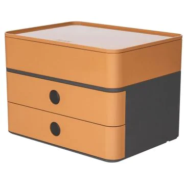 Photo Module de rangement - 260 x 195 x 190 mm - Caramel HAN Smart Box Plus Allisson