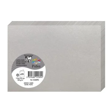 Photo Cartes double en papier - 110 x 155 mm C6 - Argent : CLAIREFONTAINE Pollen