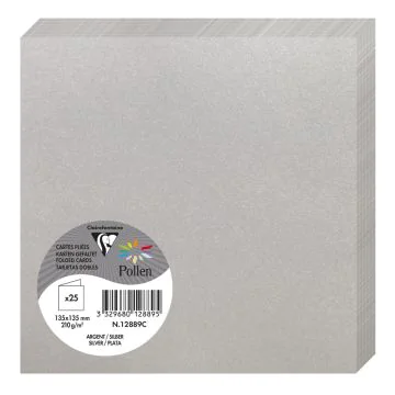 Photo Cartes double en papier - 135 x 135 mm - Argent : CLAIREFONTAINE Pollen