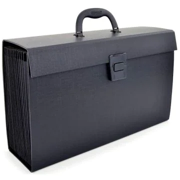 Photo Trieur valisette avec poignée - 19 compartiments - Noir RAPESCO