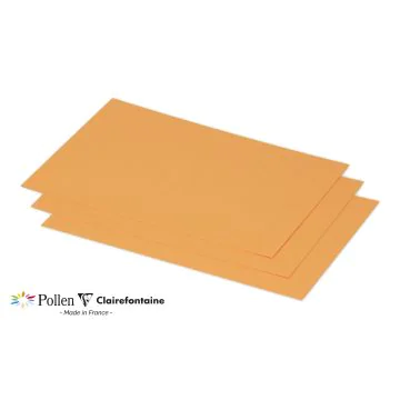 Photo POLLEN Carte Clémentine 158 x 222 mm C5 1636C Clairefontaine