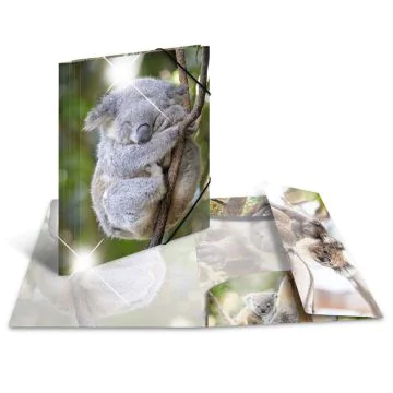 Photo Chemise à élastique A4 - Motif Koala HERMA image