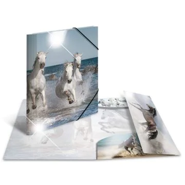 Photo Chemise à élastique A4 - Motif Chevaux HERMA image