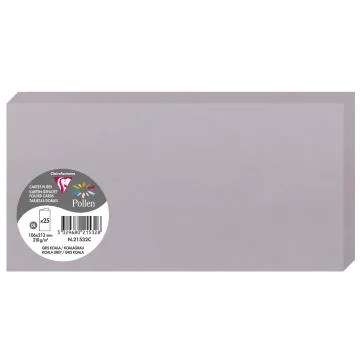 Photo POLLEN : Carte double de papier - Format DL - Gris koala 21532C