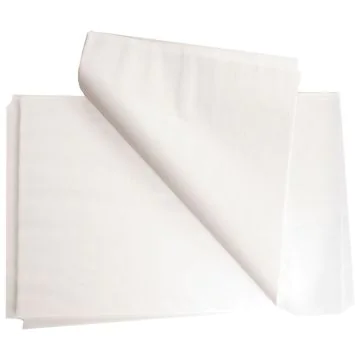 Photo Papier sulfurisé prédécoupé - 570 x 780 mm HYGOSTAR Standard