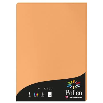 Photo Feuille de couleur Clémentine 210 x 297 mm A4 POLLEN 4208C