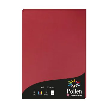 Photo Feuille de couleur Rouge groseille 210 x 297 mm A4 POLLEN 4212C