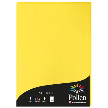 Photo Feuille de couleur Jaune soleil 210 x 297 mm A4 POLLEN 4217C