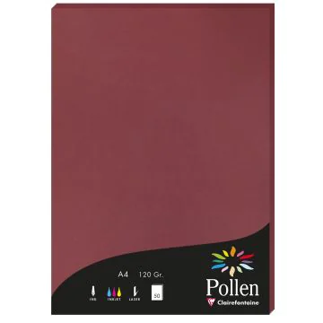 Photo Feuille de couleur Bordeaux 210 x 297 mm A4 POLLEN 4293C
