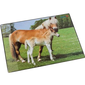 Photo Sous-mains de bureau - 530 x 400 mm - Cheval et poulain LAUFER 46587
