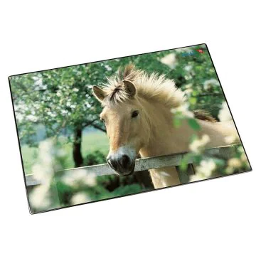 Photo Sous-mains de bureau - 530 x 400 mm - Cheval à la clôture LAUFER 46640