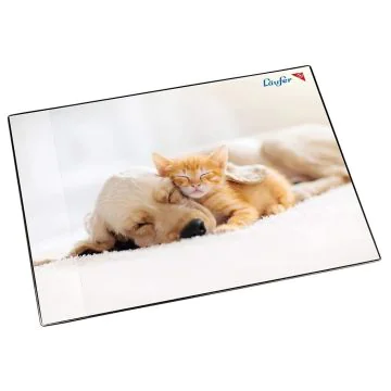 Photo Sous-mains de bureau - 400 x 530 mm - Chien et chat LAUFER