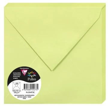 Photo POLLEN : Lot de 20 Enveloppes - 165 x 165 mm - Vert bourgeon