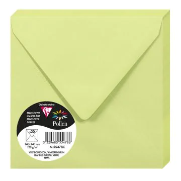 Photo Enveloppe POLLEN Vert Bourgeon Format  140 x 140 mm 55478C