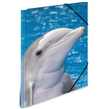 Photo Chemise à rabats à motifs - A4 : HERMA Dauphin (7141)