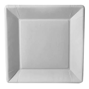 Assiette jetable en carton - 225 x 225 mm PAP STAR Pure