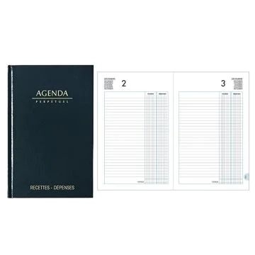 Photo CAISSE : Agenda perpétuel - Registre Recettes / Dépenses (Lecas)