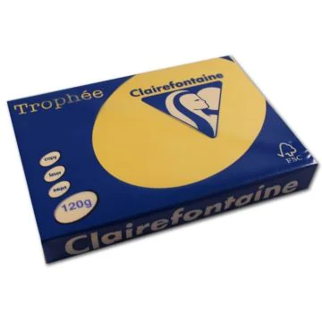 Ramette de papier de 250 feuilles A4 120g - Bouton d'or : CLAIREFONTAINE Trophée Modèle