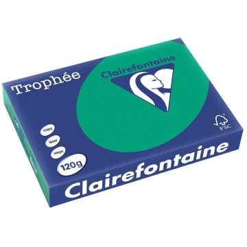 Ramette de papier de 250 feuilles A4 120g - Vert Sapin : CLAIREFONTAINE Trophée Photo