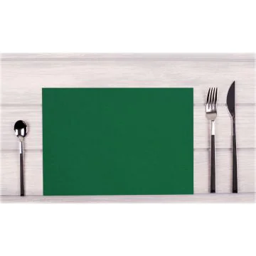 Lot de 100 Sets de Table non tissés - Vert sapin COGIR Visuel