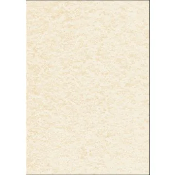 Lot de 50 feuilles de papier Perga - A4 - Champagne : SIGEL Visuel