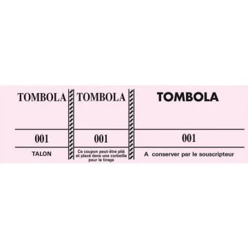Tickets Tombola Rose 96500E Exacompta (Carnet à souche)