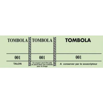 Tickets Tombola Vert 96500E Exacompta (Carnet à souche)