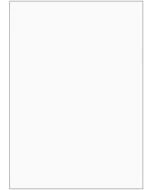 ELVE B105 : Lot de 100 fiches bristol A6 - 105 x 148 mm - Blanc uni