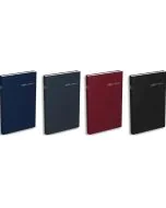 Agenda Journalier 2025 - Ligne - 140 x 220 mm - Assortiment : LECAS Carré Travers 2025
