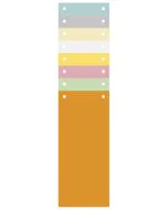 Intercalaires bristol - 240 x 105 mm - Assortiment EXACOMPTA visuel