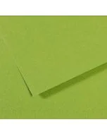 Feuille de papier dessin Mi-teintes - Vert - 500 x 650 mm : CANSON Exemple